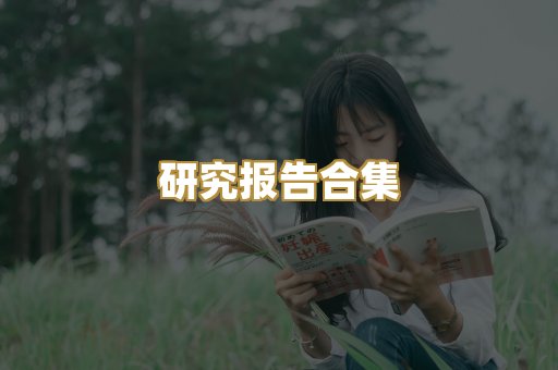 研究报告合集